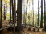 dcp_0294.jpg